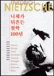 니체가 뒤흔든 철학 100년 표지 이미지