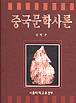 중국문학사론