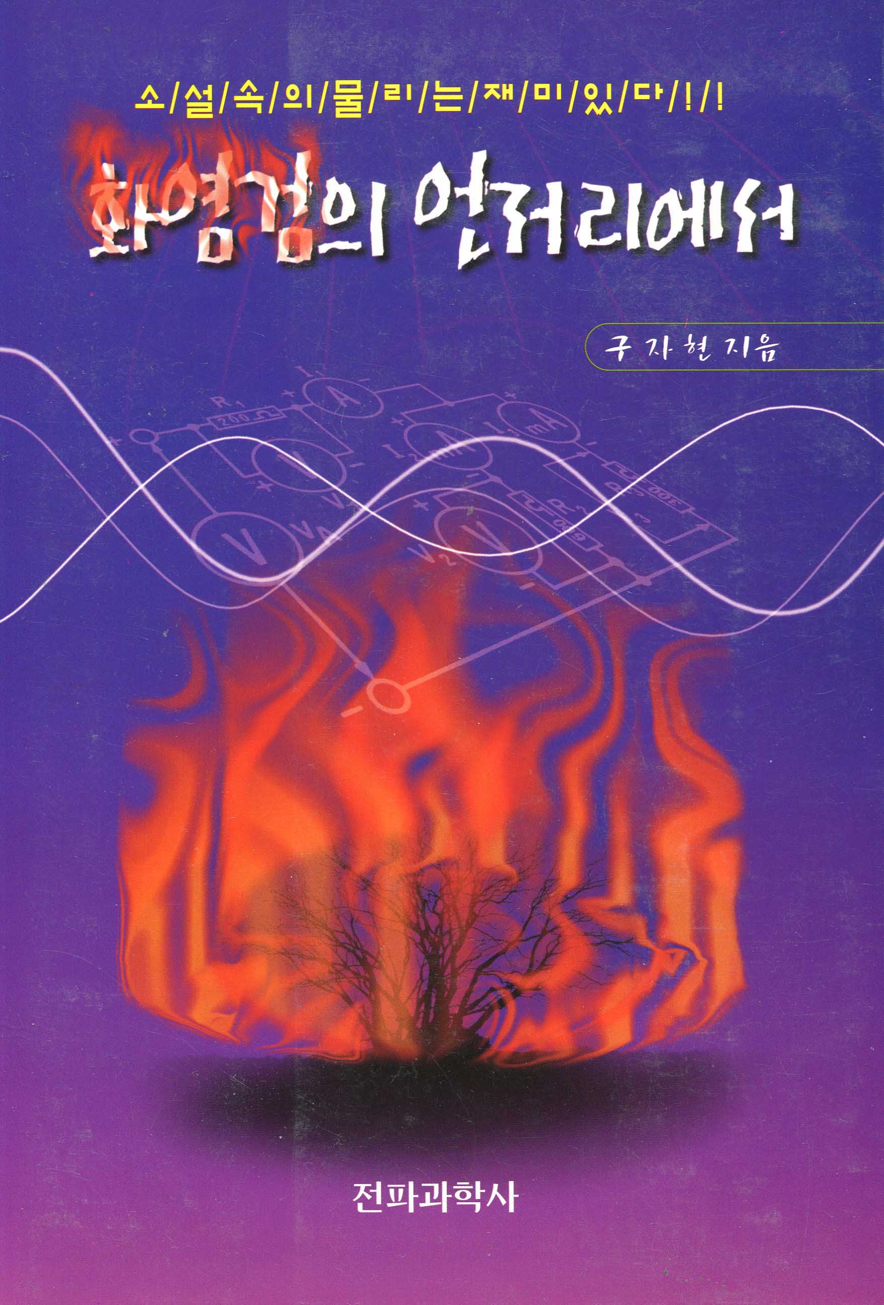 화염검의 언저리에서 표지 이미지