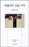 이팝나무 길을 가다 표지 이미지
