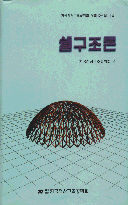 쉘구조론