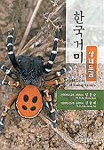 한국 거미 생태도감 = Field guide of Korean spiders