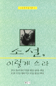 소설, 이렇게 쓰라 표지 이미지