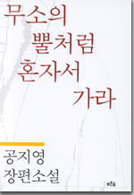 무소의 뿔처럼 혼자서 가라 : 공지영장편소설