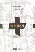 왜 소설인가 표지 이미지
