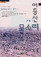 어등산(漁登山) 물소리 : 김용복 에세이 표지 이미지