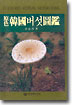 (原色)韓國버섯圖鑑 = Coloured Korean mushrooms