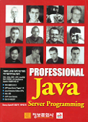 (Professional) Java server programming