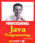 (Professional) Java programming
