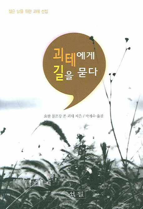 괴테에게 길을 묻다 표지 이미지