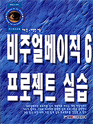 비주얼 베이직 6 프로젝트 실습