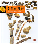 진화의 패턴 = Patterns Evolution