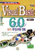비주얼베이직 6.0 : API 라이브러리 정복