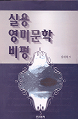 실용 영미문학 <span class="sponge-point-color">비평</span>