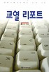 교열 리포트