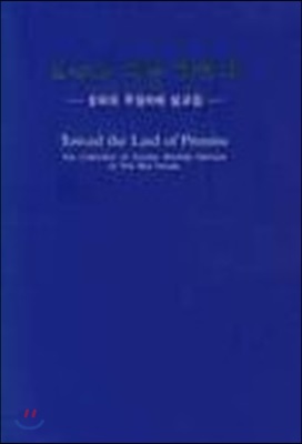 약속의 땅을 향하여 : 청와대 예배설교집