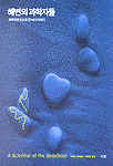 해변의 과학자들 : 과학자의 눈으로 본 바다 이야기