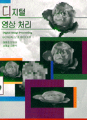 디지털 영상 처리