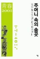 주머니 속의 송곳 표지이미지