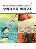 상피세포의 미세구조