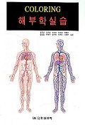 (Coloring)해부학실습