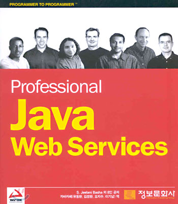 Professional Java web Services 표지 이미지