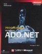 Programming Microsoft ADO.NET