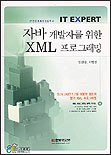 자바 개발자를 위한 XML 프로그래밍