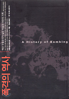 폭격의 역사