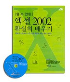 (할수있다)엑셀 2002 확실히 배우기 : 엑셀의 기초부터 고급 실무 활용을 위한 완벽 가이드
