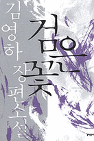 검은 꽃  표지이미지