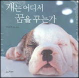 개는 어디서 꿈을 꾸는가 표지 이미지
