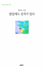 풀잎에도 상처가 있다 : 정호승 시집 표지이미지