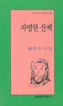 자명한 산책 : 황인숙 시집