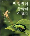 딱정벌레 왕국의 여행자 표지 이미지
