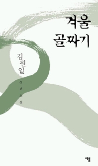 겨울 골짜기 : 김원일 장편소설