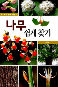 나무 쉽게 찾기 표지 이미지