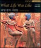 나일 강의 사람들:Egypt BC3050-BC30
