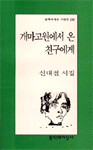 개마고원에서 온 친구에게 : 신대철 시집