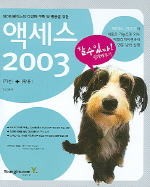 액세스 2003