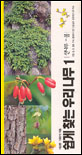 쉽게 찾는 우리나무. 1 : 산나무-봄 표지 이미지