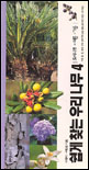 쉽게 찾는 우리나무. 4 : 도시나무-여름.가을 표지 이미지
