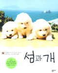 섬과 개