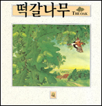 떡갈나무 표지이미지
