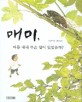 매미, 여름 내내 무슨 일이 있었을까? 표지 이미지