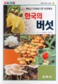 한국 식물 검색도감 : 수목. 4