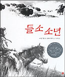 들소 소년 표지 이미지