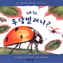 네가 무당벌레니? 표지 이미지