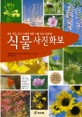 식물사진화보 숙제 도우미 - 환경사진 화보 4