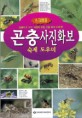 곤충 사진화보 숙제 도우미 - 환경사진 화보 5
